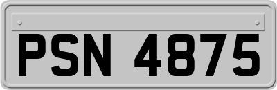 PSN4875