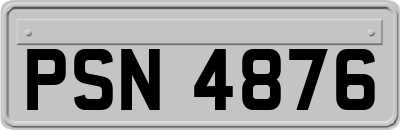 PSN4876