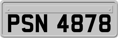 PSN4878