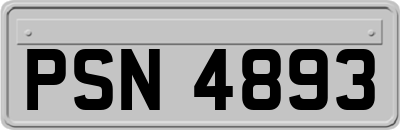 PSN4893