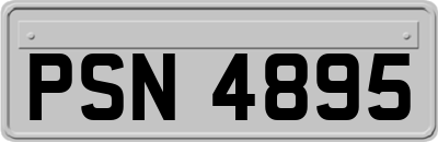 PSN4895