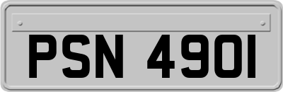 PSN4901