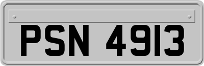 PSN4913