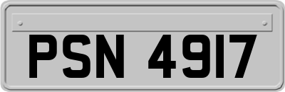 PSN4917