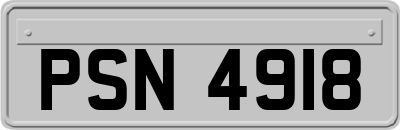 PSN4918