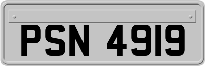 PSN4919
