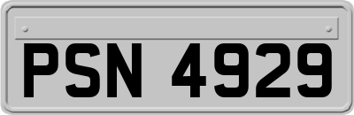 PSN4929