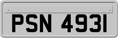 PSN4931
