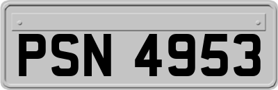 PSN4953