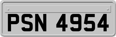 PSN4954