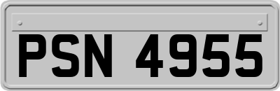PSN4955