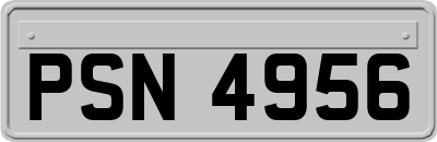 PSN4956
