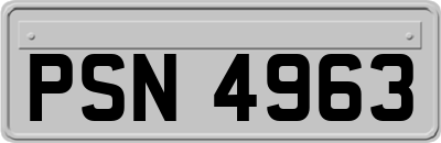 PSN4963
