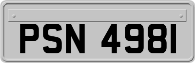 PSN4981