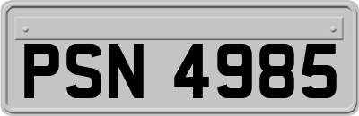 PSN4985