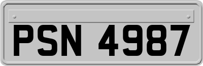 PSN4987