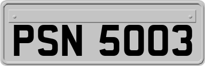 PSN5003