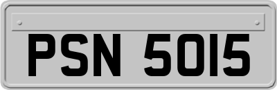 PSN5015