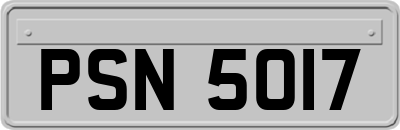 PSN5017