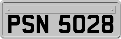 PSN5028