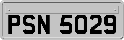 PSN5029