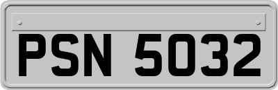 PSN5032