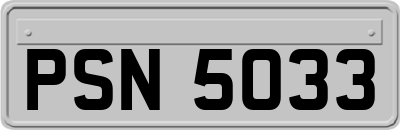 PSN5033