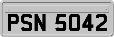 PSN5042