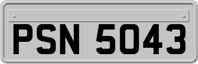 PSN5043
