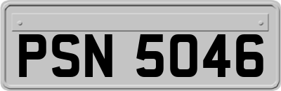 PSN5046