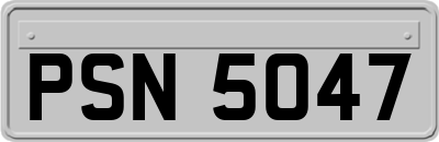 PSN5047