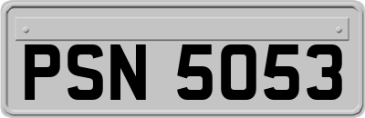 PSN5053