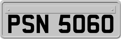 PSN5060