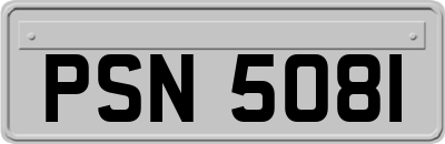 PSN5081