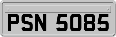 PSN5085