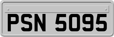 PSN5095