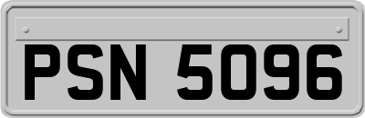 PSN5096