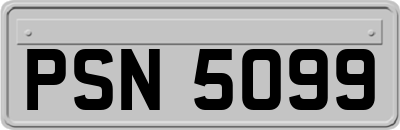 PSN5099