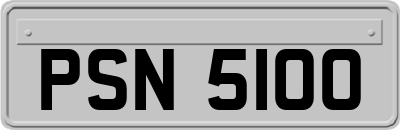 PSN5100