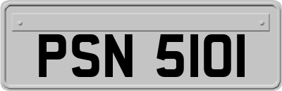 PSN5101