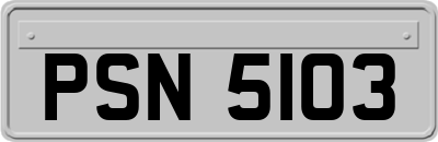 PSN5103