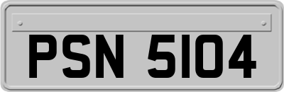 PSN5104