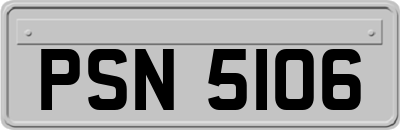 PSN5106