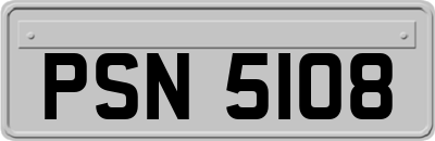 PSN5108