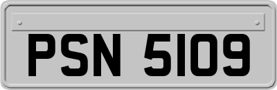 PSN5109