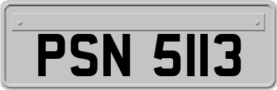 PSN5113