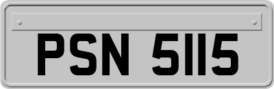 PSN5115