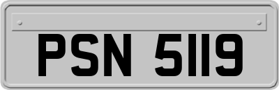 PSN5119