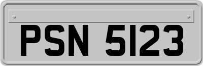 PSN5123