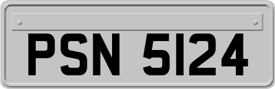 PSN5124